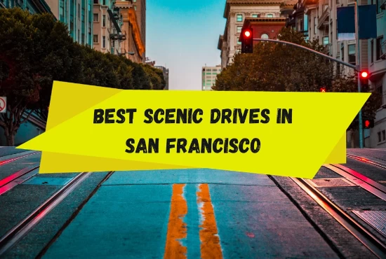 Top 7 Scenic Drives In San Francisco